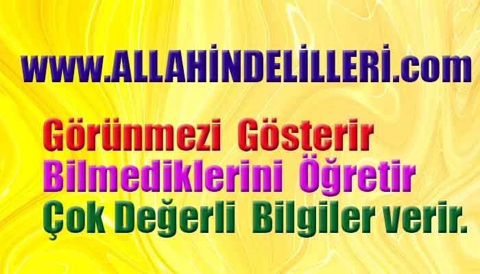 www.allahindelilleri.com reklam